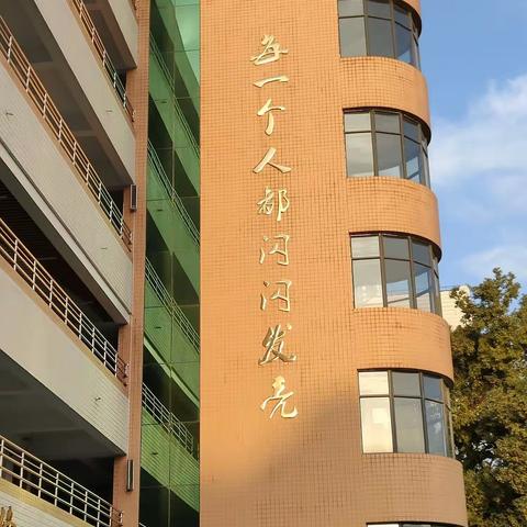每一个人都闪闪发亮