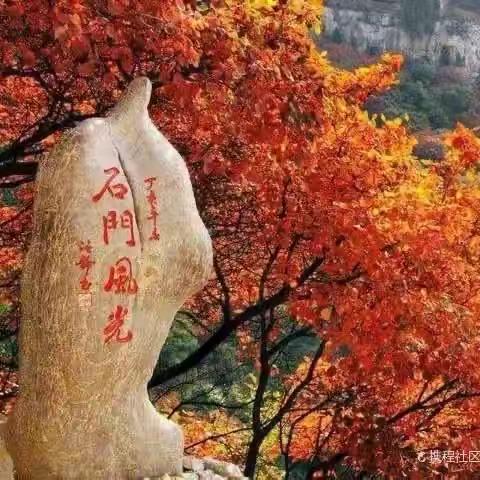 临朐石门坊+老龙湾纯玩一日