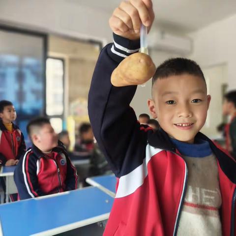 优越科学实验课之吸管穿土豆