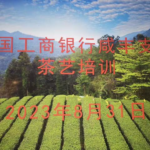 学茶艺，明茶礼，享茶趣 ——工商银行咸丰支行团支部开展茶艺体验活动