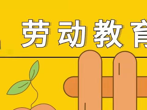 亳州市第四小学开展劳动教育活动