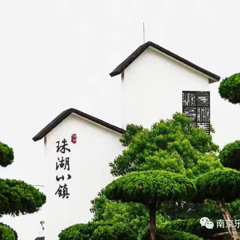 2023年10月20日（周五）相约珠湖芦花、漫步南门老街休闲摄影一日游！南京乐享约伴户外