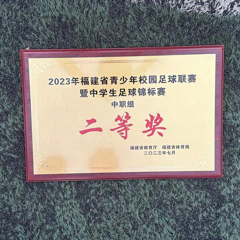 喜报 | 祝贺龙海职业技术学校男子足球队在福建省校园足球联赛中夺得第三名！