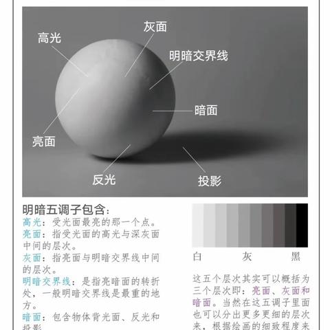 惠画堂暑期基础班