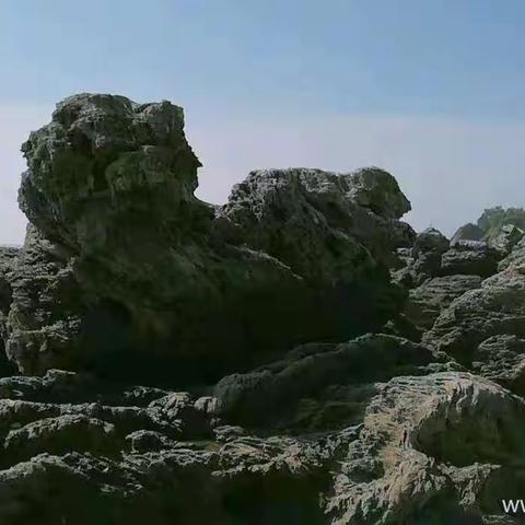 🏝️石城岛🏝️🌺大连·生蚝小镇·纯玩两日游🌺🌺发团日期:8月10～11日