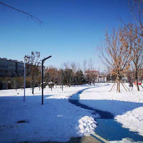 大雪纷飞，童趣飞扬 | 新西关小学2019级7班雪中纪实