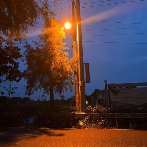 【保利·长交锦上】施工服务进度