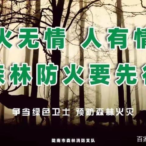森林防火    有你有我