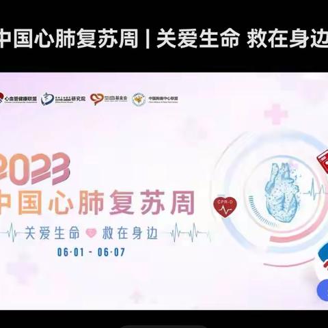 附中学子2023年暑假社会实践活动“防范风险，共筑安全”335班王心怡