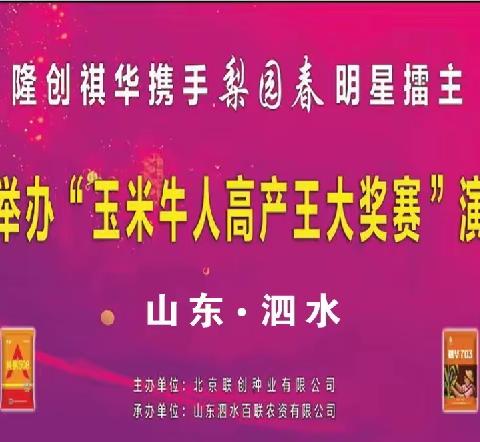 隆创祺华玉米牛人高产王大奖赛——山东泗水