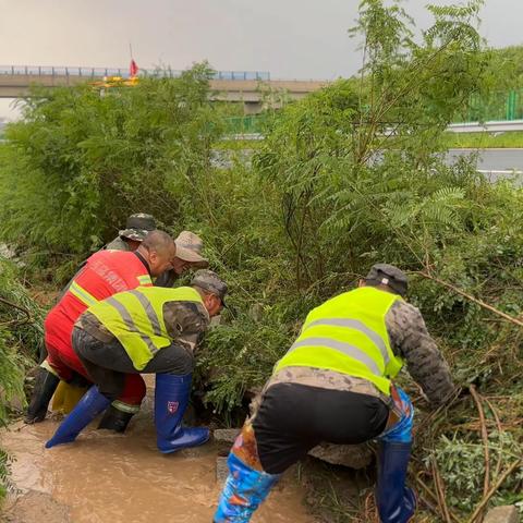 排水、清淤、抢险！齐心协力，不惧风雨