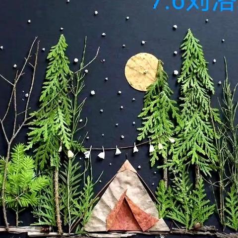 【寒假生物特色作业展示】秀出你的别样假期生活！