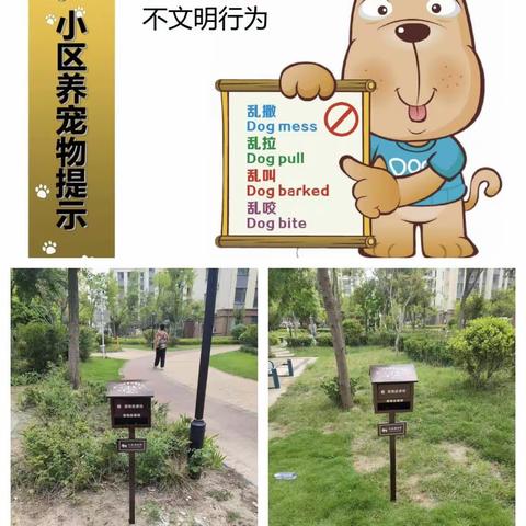 文明养犬，从我做起！“宠物便便箱”让养犬更文明