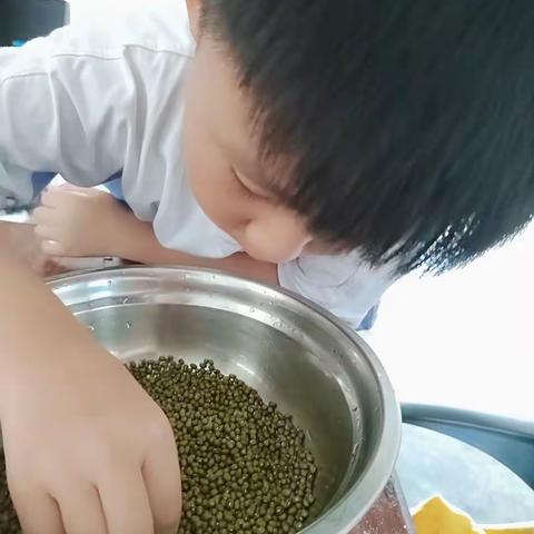 美味的绿豆芽