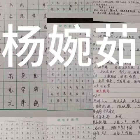 一二组第二次语文晒作业情况：