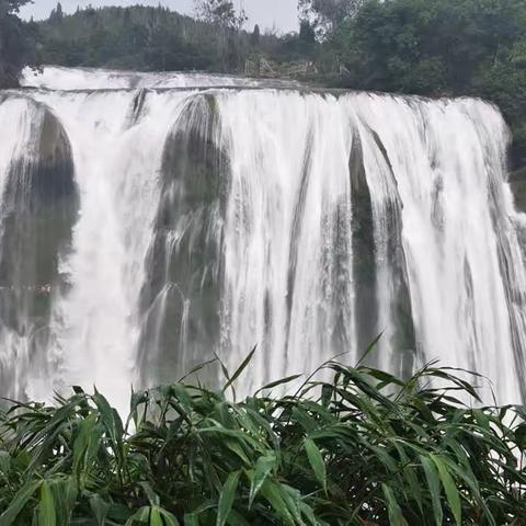 封昊轩之自由行———贵州之旅。