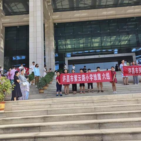 雏鹰计划夏日活动