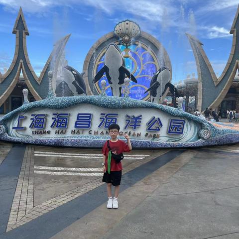 上海海昌海洋公园游记—虎鲸