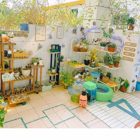 角落之美，自然之趣🌳🌳 ——欣贝学园自然角研讨活动