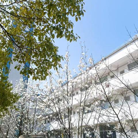 【学前教育2207李添翼】我的大学