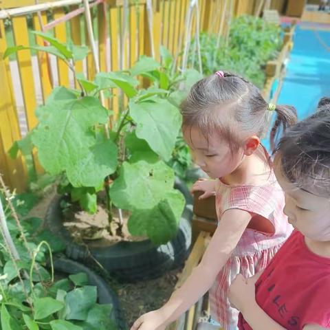 御景城幼儿园宝宝班一周美好回忆