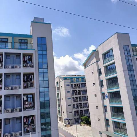 我的大学 我的专业