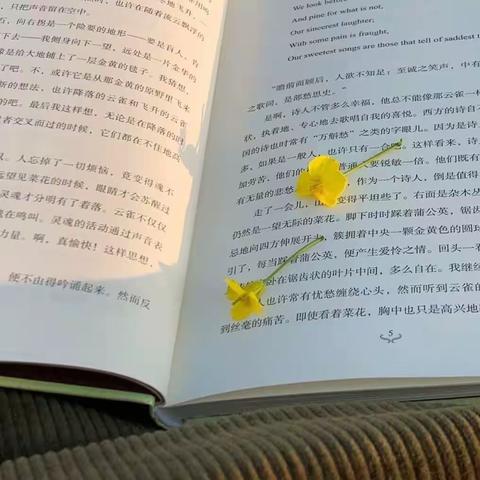 阅读充实生活 精神改变品格【宁怡冉】