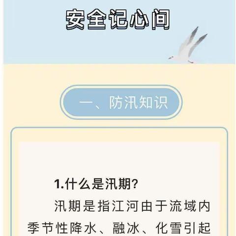 黑林小学防汛避险知识宣传