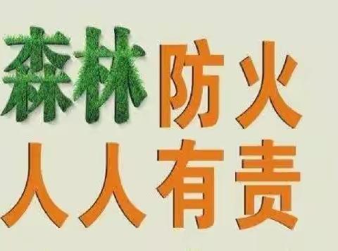 家乡安全知识宣传，森林防火，人人有责