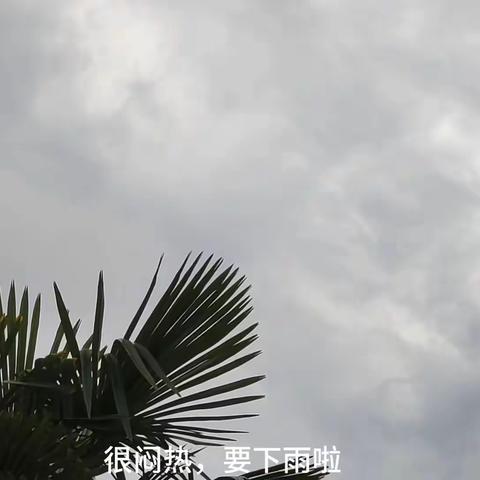 暑期练习作业四