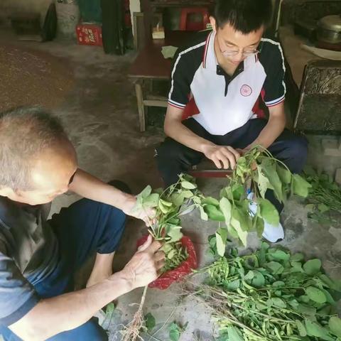 黉学高级中学高二年级暑期劳动总动员