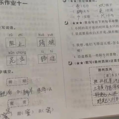 紫色百合的美篇