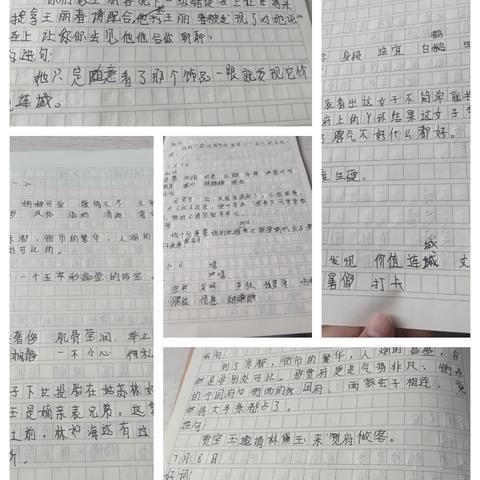 紫色百合的美篇