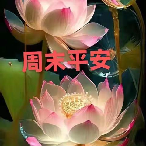 2023年8月13日让我们怀着感恩的心走进雨花家园