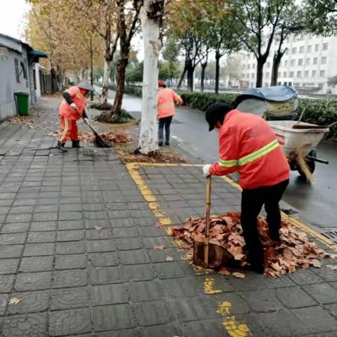 东康一中56班马怡涵  “在公益中成长”暑假社会实践活动