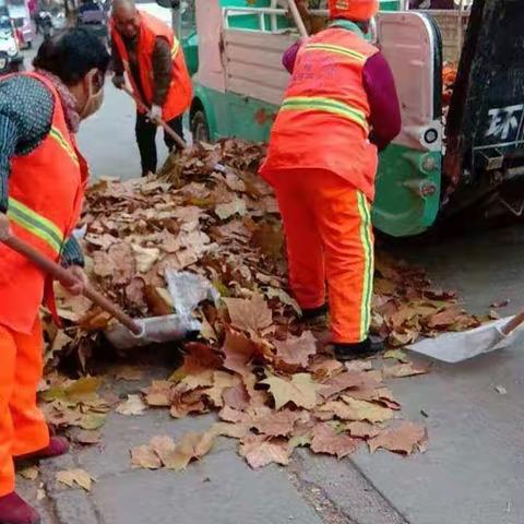 东康一中初一 56班贺立媛暑假实践活动