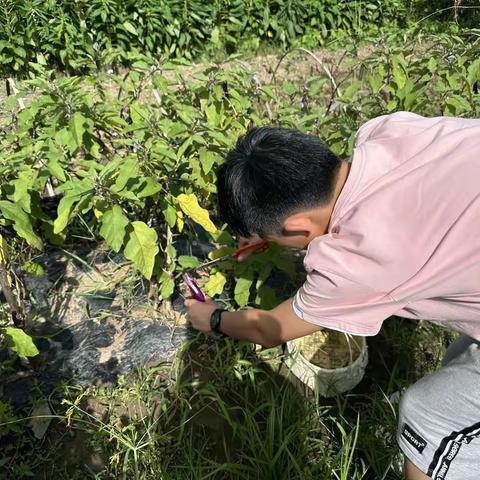 罗中七年级8班圆梦小队假日活动