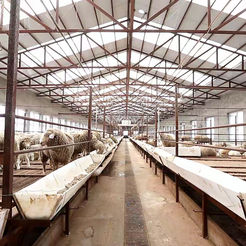 关于受灾畜禽养殖场恢复生产的建议