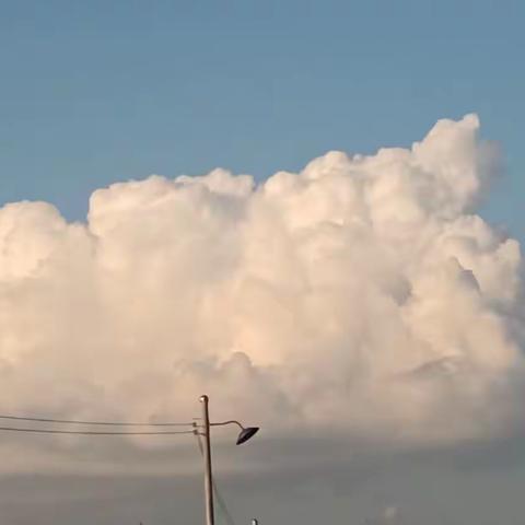 俯身劳动创造，享受美好生活。