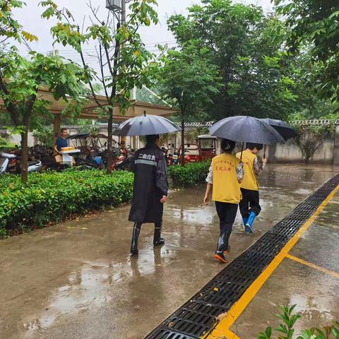 【周至县二曲街道淳风苑社区】雨中守护显担当   筑牢防汛“安全墙”