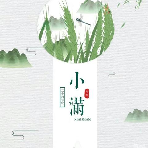 小满天逐热，温风沐麦圆——齐桥镇菜园小学二十四节气之“小满”