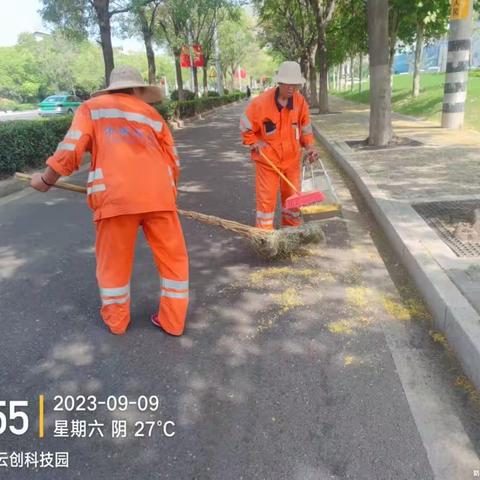 秋意渐浓，道路两旁开始飘下落花落叶，鼓楼侨银五标迎来了一年一度的秋扫落叶，落花攻坚战。