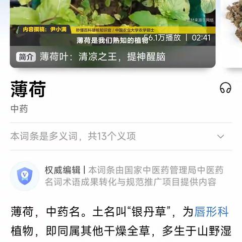 【附中学子这样过暑假】寻植物奥秘 为植物做名片——忻州师范学院附属外国语中学初367班 武琳涵