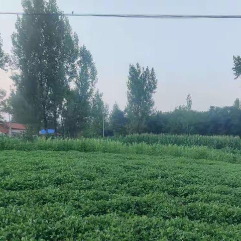 附身劳动创造，享受美好生活