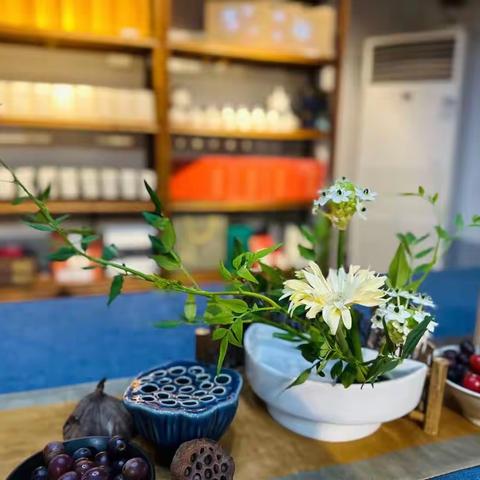 2023年红领巾暑期实践活动职业体验——我们是小小茶艺师。