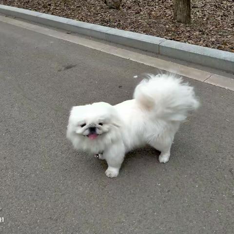 偶遇