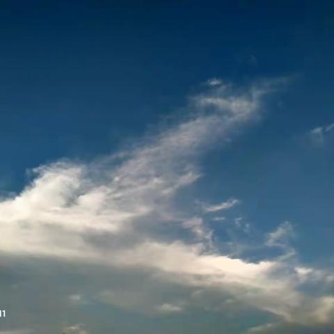 一年好景君须记