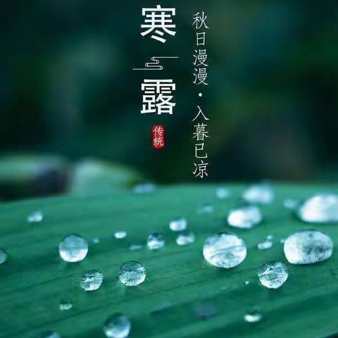 二十四节气———“寒露至，秋意浓”许昌市东城区童心幼儿园 中六班 主题活动