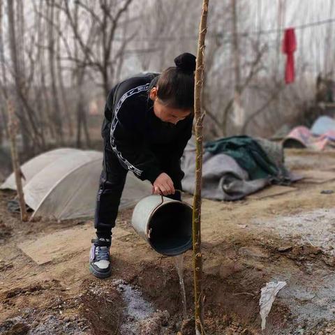 以劳树德，启智润心——王称堌镇二中校外劳动教育实践活动