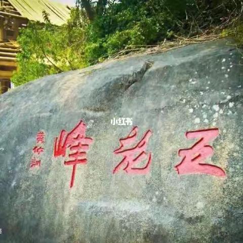 东康一中35班刘卓宙暑假实践报告